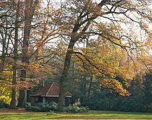 Unterkunft 293519 - Ferienhaus Achterhoek - Huisje in Vorden