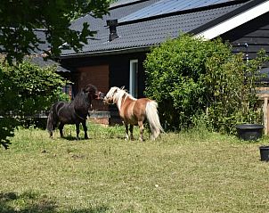 Guest house 293522 - Holiday property Achterhoek - Vakantiehuisje in Vorden