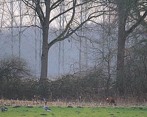 Unterkunft 293523 - Ferienhaus Achterhoek - Vakantiehuisje in Vorden