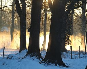 Unterkunft 293523 - Ferienhaus Achterhoek - Vakantiehuisje in Vorden