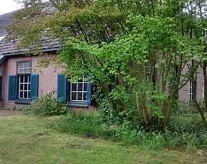 Unterkunft 293524 - Ferienhaus Achterhoek - Vakantiehuisje in Vorden