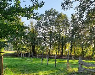 Unterkunft 293524 - Ferienhaus Achterhoek - Vakantiehuisje in Vorden