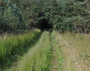 Unterkunft 293524 - Ferienhaus Achterhoek - Vakantiehuisje in Vorden