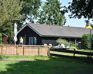 Cozy garden at Holiday Home in Vorden, Achterhoek, ideal for relaxing outdoors.
