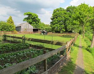 Rural setting of Cottage in Vorden, ideal for walks in the Achterhoek, Gelderland.