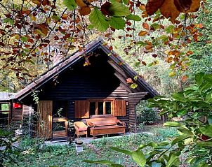 Unterkunft 293531 - Ferienhaus Achterhoek - Vakantiehuisje in Vorden