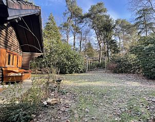 Unterkunft 293531 - Ferienhaus Achterhoek - Vakantiehuisje in Vorden