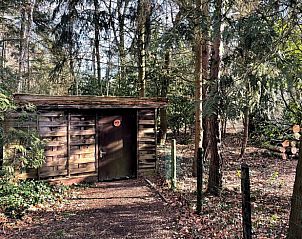 Unterkunft 293531 - Ferienhaus Achterhoek - Vakantiehuisje in Vorden