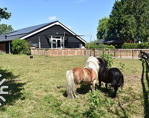 Guest house 293552 - Holiday property Achterhoek - DG127
