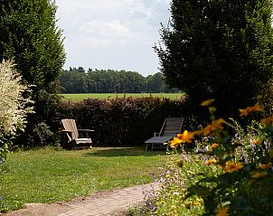 Unterkunft 293554 - Ferienhaus Achterhoek - Vakantiehuisje in Vorden
