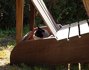 Unterkunft 293554 - Ferienhaus Achterhoek - Vakantiehuisje in Vorden