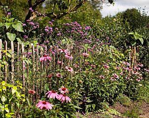 Unterkunft 293554 - Ferienhaus Achterhoek - Vakantiehuisje in Vorden