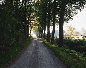Unterkunft 293554 - Ferienhaus Achterhoek - Vakantiehuisje in Vorden