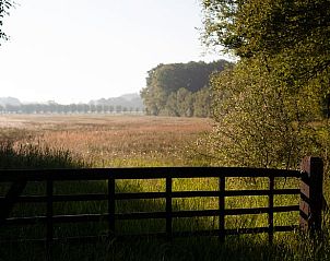 Unterkunft 293554 - Ferienhaus Achterhoek - Vakantiehuisje in Vorden