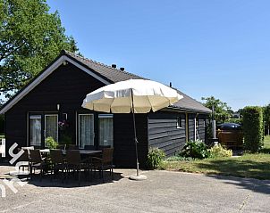 Kleine pony's bij DG126-6 vakantiehuis in Vorden Achterhoek