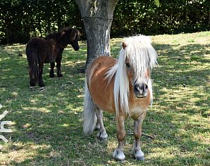 Unterkunft 293561 - Ferienhaus Achterhoek - DG132