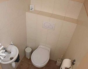 Rustige tuin van vakantiehuis DG126 in Vorden, Achterhoek, Gelderland met terras en bomen.