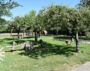 Zonnige tuin bij vakantiehuis DG126 in Vorden, Achterhoek, Gelderland met speeltoestellen.