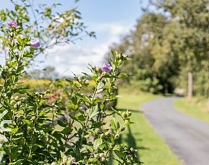Unterkunft 293567 - Ferienhaus Achterhoek - DG496