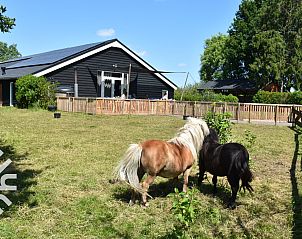 Gezellige keuken in vakantiehuis DG127-10 in Vorden, Achterhoek, met ruime eethoek en moderne apparatuur.