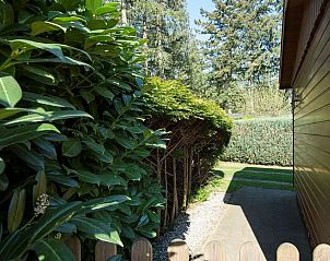 Unterkunft 293577 - Chalet Achterhoek - De Wildenborch