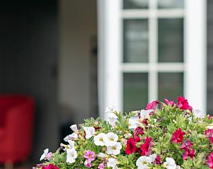 Guest house 293610 - Holiday property Achterhoek - Vakantiehuis in Doetinchem