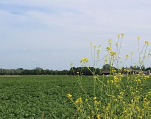 Guest house 293610 - Holiday property Achterhoek - Vakantiehuis in Doetinchem