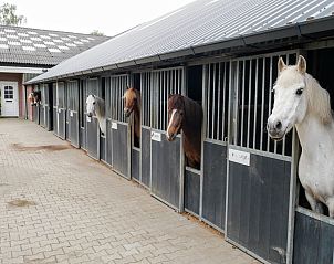 Guest house 293708 - Apartment Achterhoek - Erve Tank