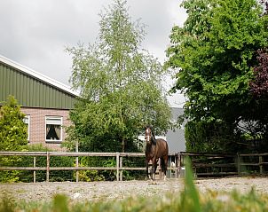 Guest house 293708 - Apartment Achterhoek - Erve Tank