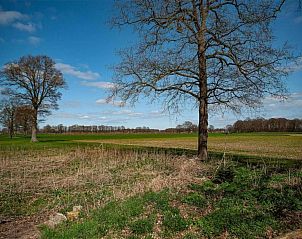 Guest house 293708 - Apartment Achterhoek - Erve Tank