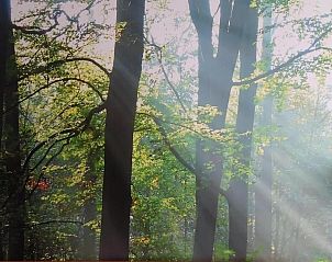 Guest house 293708 - Apartment Achterhoek - Erve Tank