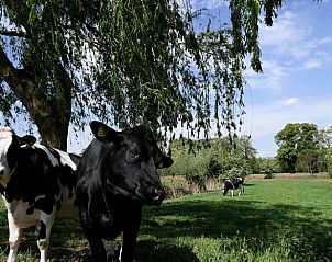 Guest house 293709 - Holiday property Achterhoek - Vakantiehuis in Eibergen