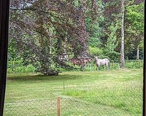 Guest house 293809 - Holiday property Achterhoek - Vakantiehuisje in Gorssel