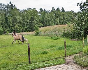 Guest house 293809 - Holiday property Achterhoek - Vakantiehuisje in Gorssel