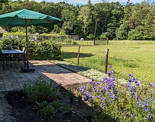 Guest house 293809 - Holiday property Achterhoek - Vakantiehuisje in Gorssel