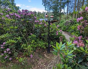 Guest house 293809 - Holiday property Achterhoek - Vakantiehuisje in Gorssel