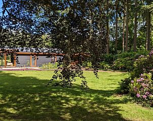 Guest house 293809 - Holiday property Achterhoek - Vakantiehuisje in Gorssel