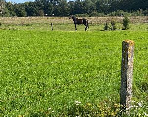 Guest house 293811 - Holiday property Achterhoek - Vakantiehuis in Gorssel