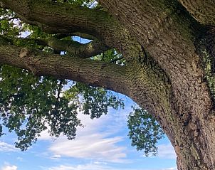 Guest house 293817 - Holiday property Achterhoek - Vakantiehuis in Gorssel