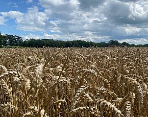 Guest house 293817 - Holiday property Achterhoek - Vakantiehuis in Gorssel