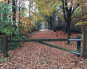 Guest house 293823 - Holiday property Achterhoek - Huisje in Gorssel