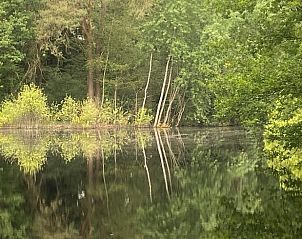 Guest house 293825 - Holiday property Achterhoek - Huisje in Gorssel