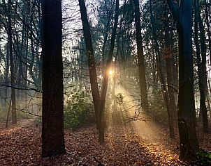 Guest house 293825 - Holiday property Achterhoek - Huisje in Gorssel