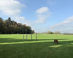 Guest house 293907 - Holiday property Achterhoek - Vakantiehuisje in Twello