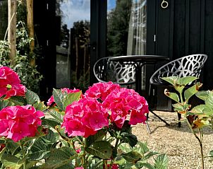 Unterkunft 293911 - Ferienhaus Achterhoek - Vakantiehuis in Twello