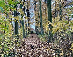 Unterkunft 293911 - Ferienhaus Achterhoek - Vakantiehuis in Twello