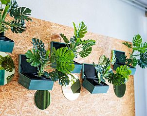 Verblijf 294113 - Bed and breakfast Kempen - Hotel Nassau