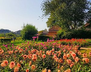 Guest house 294723 - Holiday property Achterhoek - Vakantiehuis Het Hof