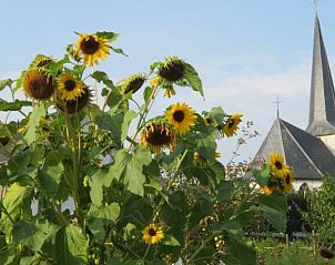 Guest house 294723 - Holiday property Achterhoek - Vakantiehuis Het Hof