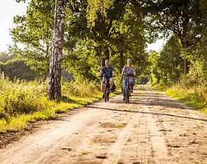 Fietsen in de omgeving van Vakantiehuisje in Neede, Achterhoek, langs groene paden en rustgevende natuur.